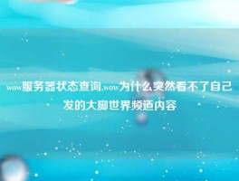 wow服务器状态查询,wow为什么突然看不了自己发的大脚世界频道内容